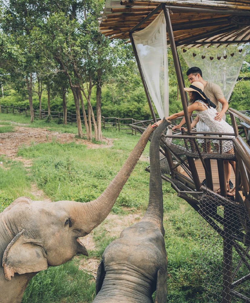 Elephant Camp Koh Samui