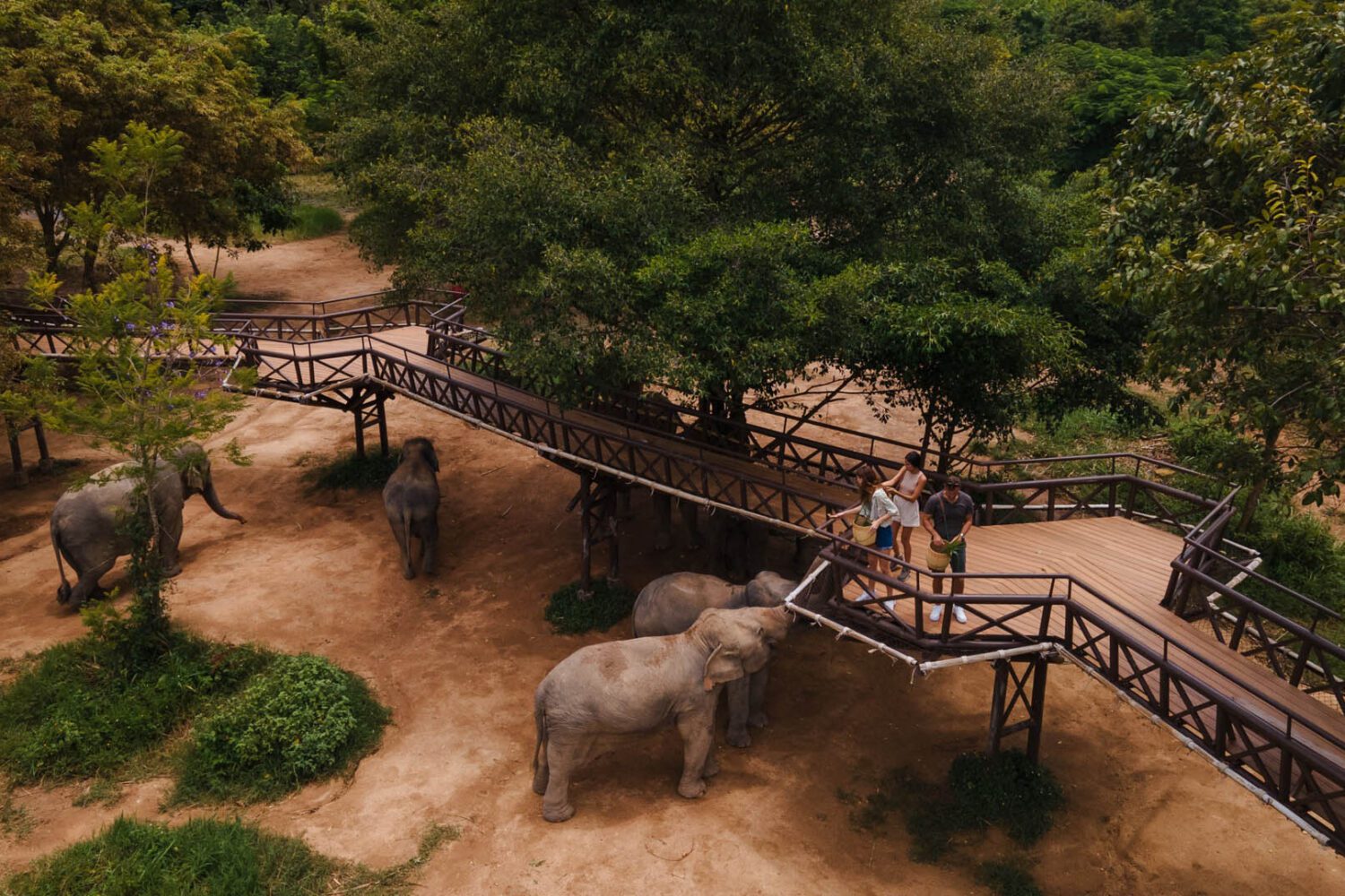 Elefanten Camp - Elephant Kingdom Samui