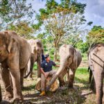 Samui Elephant Kingdom Samui