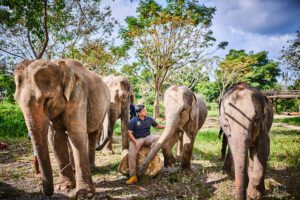 Samui Elephant Kingdom Samui