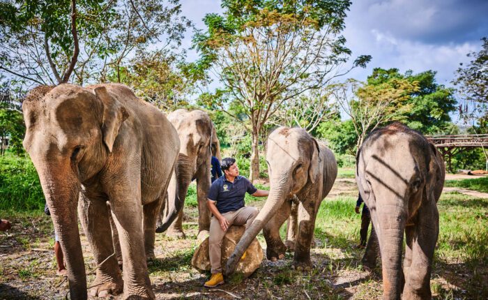 Samui Elephant Kingdom Samui