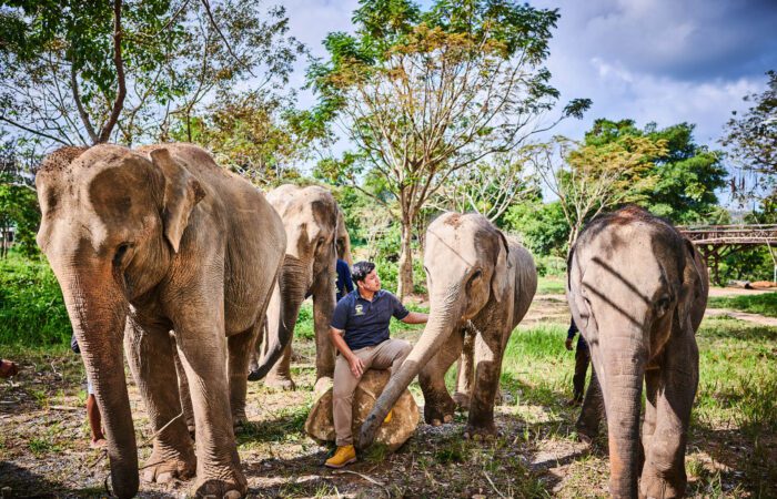 Samui Elephant Kingdom Samui