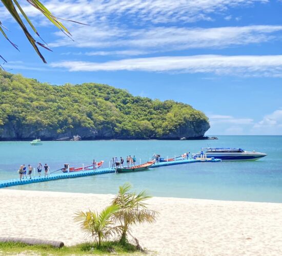 Angthong Marine Park Schnellboot-Ausflug