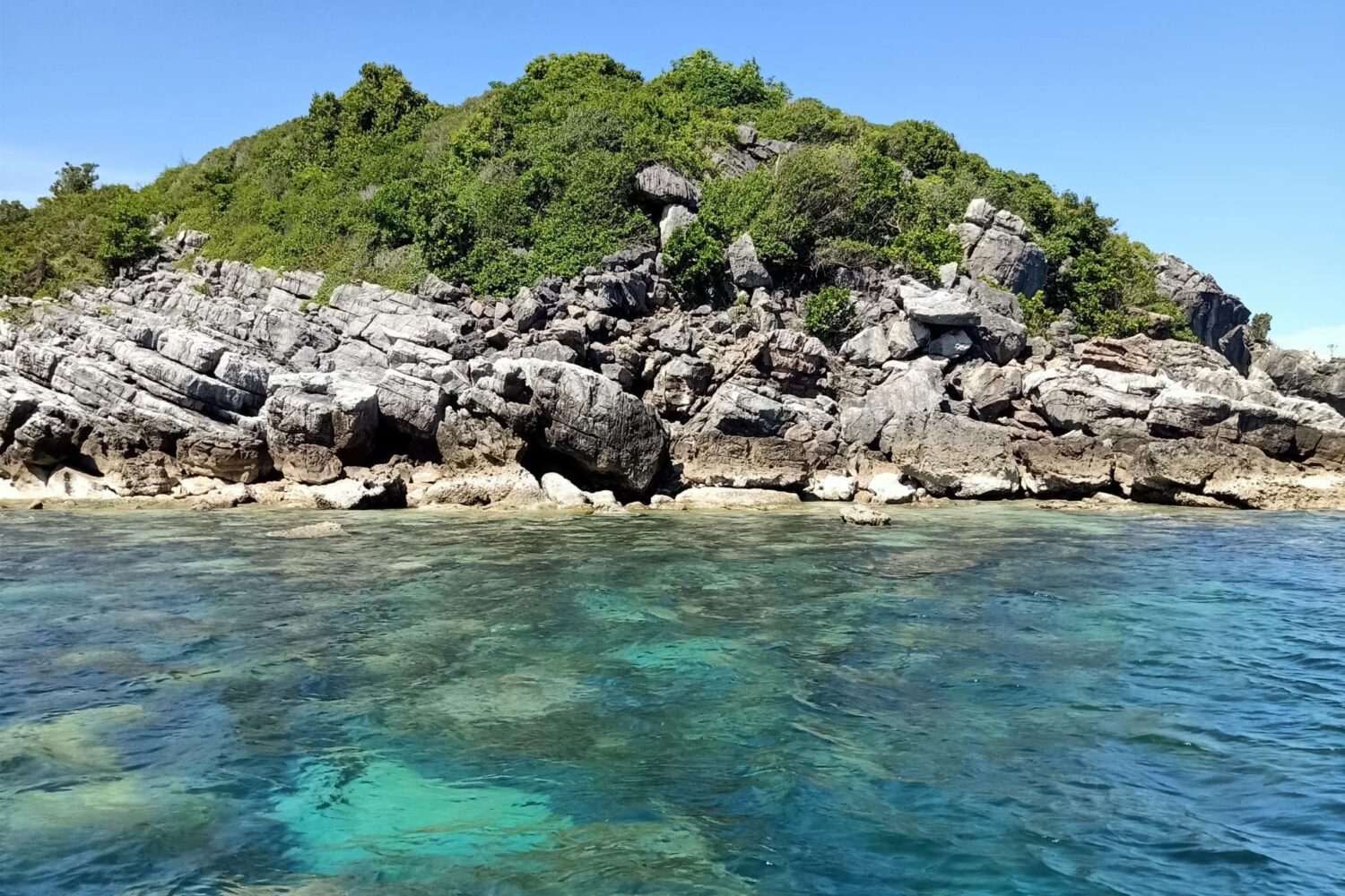 Schnorcheln auf Koh Tao – Korallenriffe und tropische Fische hautnah erleben.