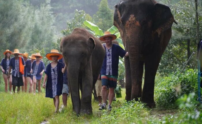 Elefanten Camp Samui