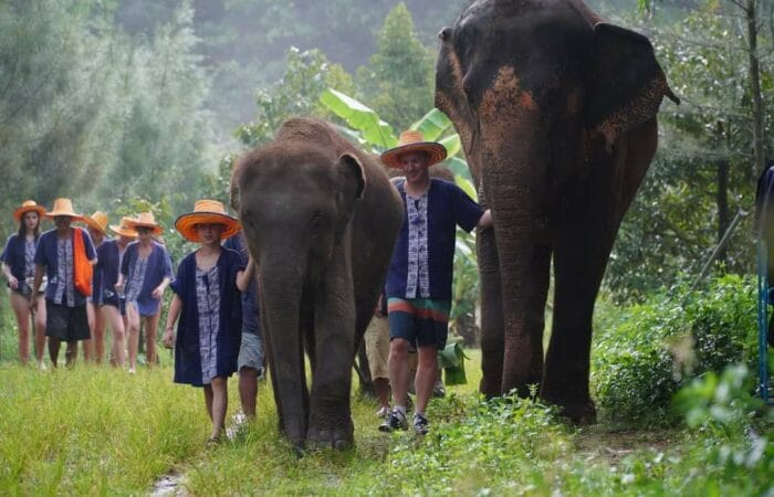 Elefanten Camp Samui